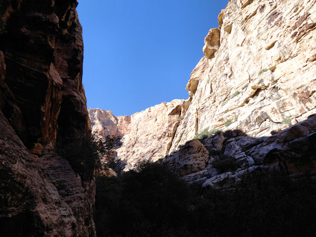 Fern Canyon