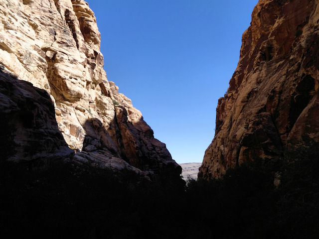 Fern Canyon